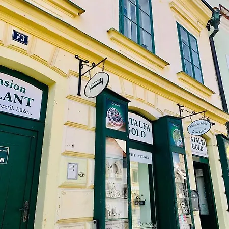 Loft Natalya Gold Daire *